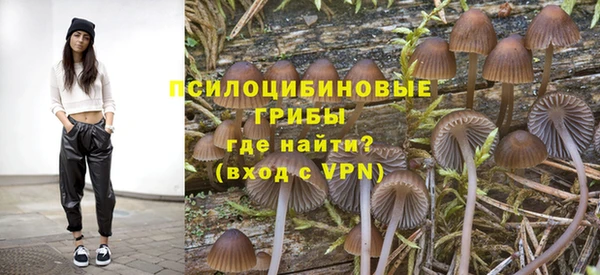 apvp Абаза