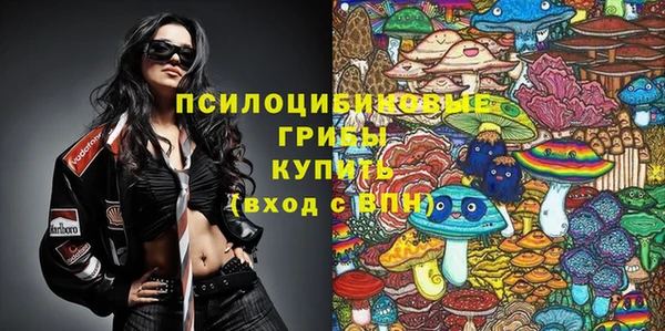 соль ск Навашино